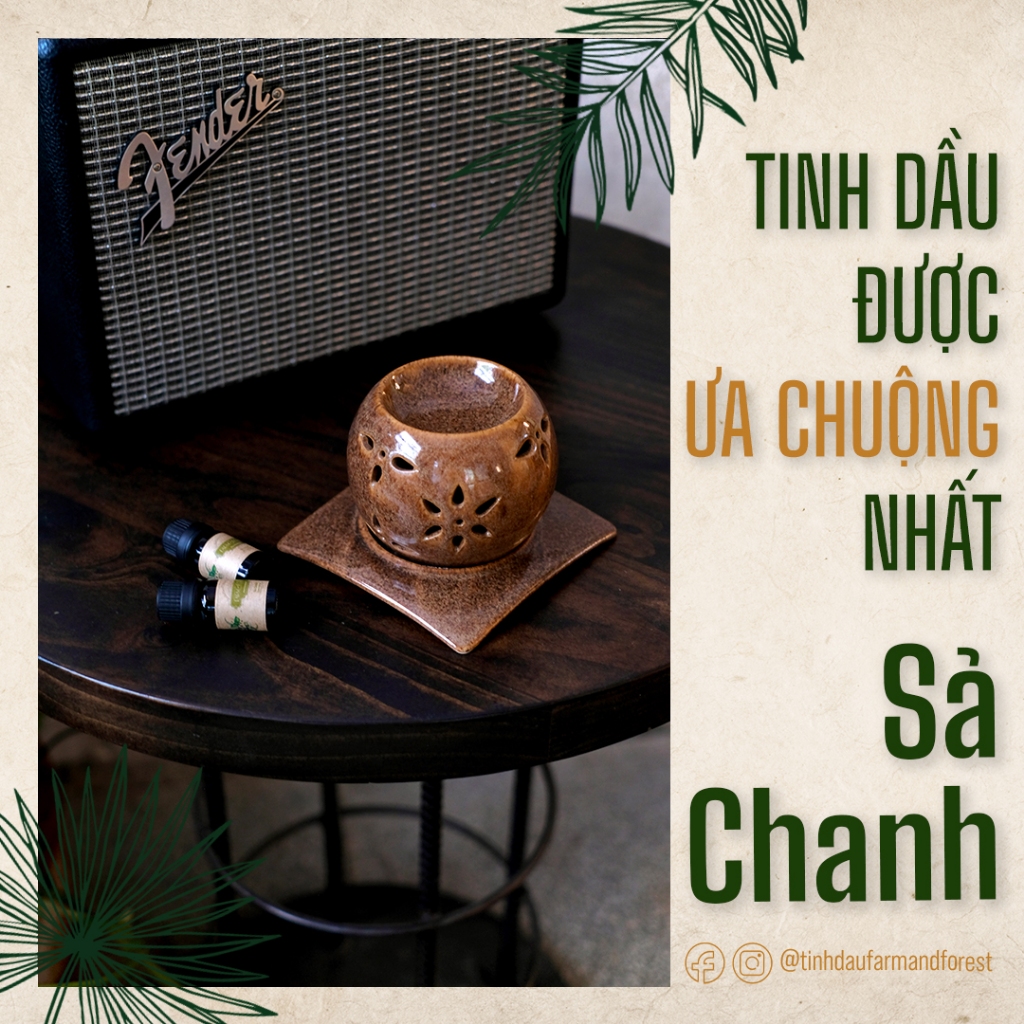 Tinh Dầu Sả Chanh 10ml, Tinh Dầu Thiên Nhiên Nguyên Chất, Farm & Forest, Làm Thơm Phòng, Khử Mùi, Đuổi Muỗi.