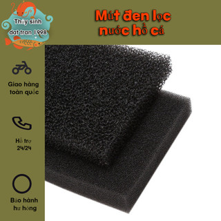 Mút đen lọc nước hồ cá [50x50x5cm]