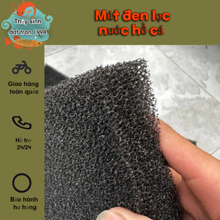 Mút đen lọc nước hồ cá [50x50x5cm]