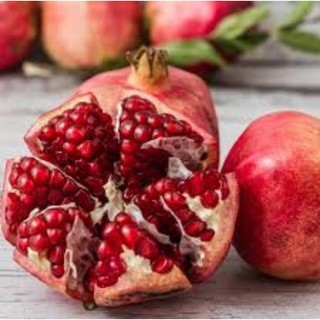 (VHST giao trong ngày) Cây LỰU ẤN ĐỘ đang hoa.