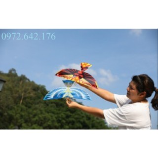 Combo chim dây thun vỗ cánh tự bay Ornithopter Birds