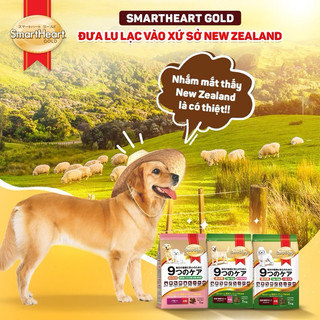 [MỚI] Hạt SmartHeart Gold cao cấp dành cho Chó - 1Kg