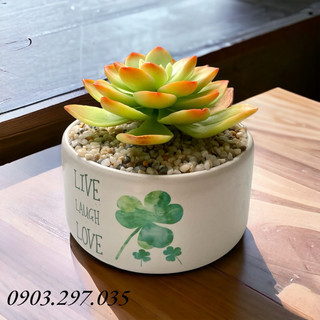 Sen đá đất sét chậu sứ đường kính 10cm