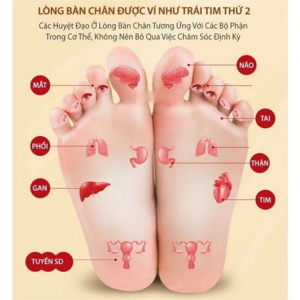 Miếng Dán Thải Độc LAO BEIJING 50 Miếng Giúp Ngủ Ngon Giảm Nhức Mỏi Thải Độc Chân Thanh Lọc Cơ Thể