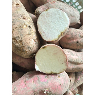 Khoai Lang Dương Ngọc 1kg