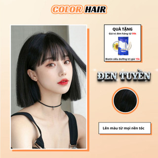 Nhuộm tóc đen tuyền không gây khô sơ tóc, thuốc nhuộm tóc đen tuyền,nhuộm tóc đen, thuốc nhuộm tóc đen - Color Hair