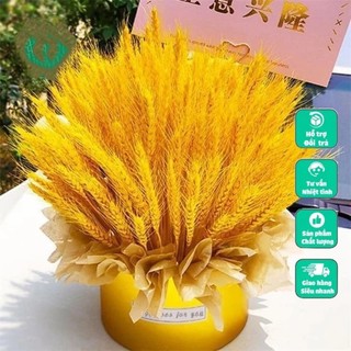 Bông Lúa Mạch Trang Trí chuẩn hàng loại 1 bông to