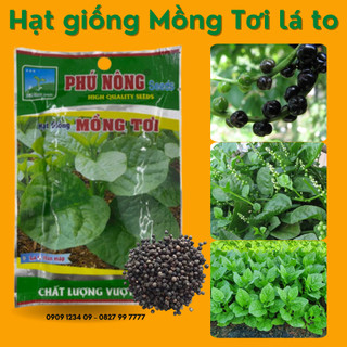 Hạt giống Mồng Tơi lá to Phú Nông hạt giống chắc khỏe, tỉ lệ nẩy mầm 98% (Vườn Sài Gòn)
