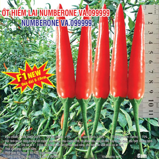 Hạt giống Ớt Hiểm lai F1 Numberone 5gram
