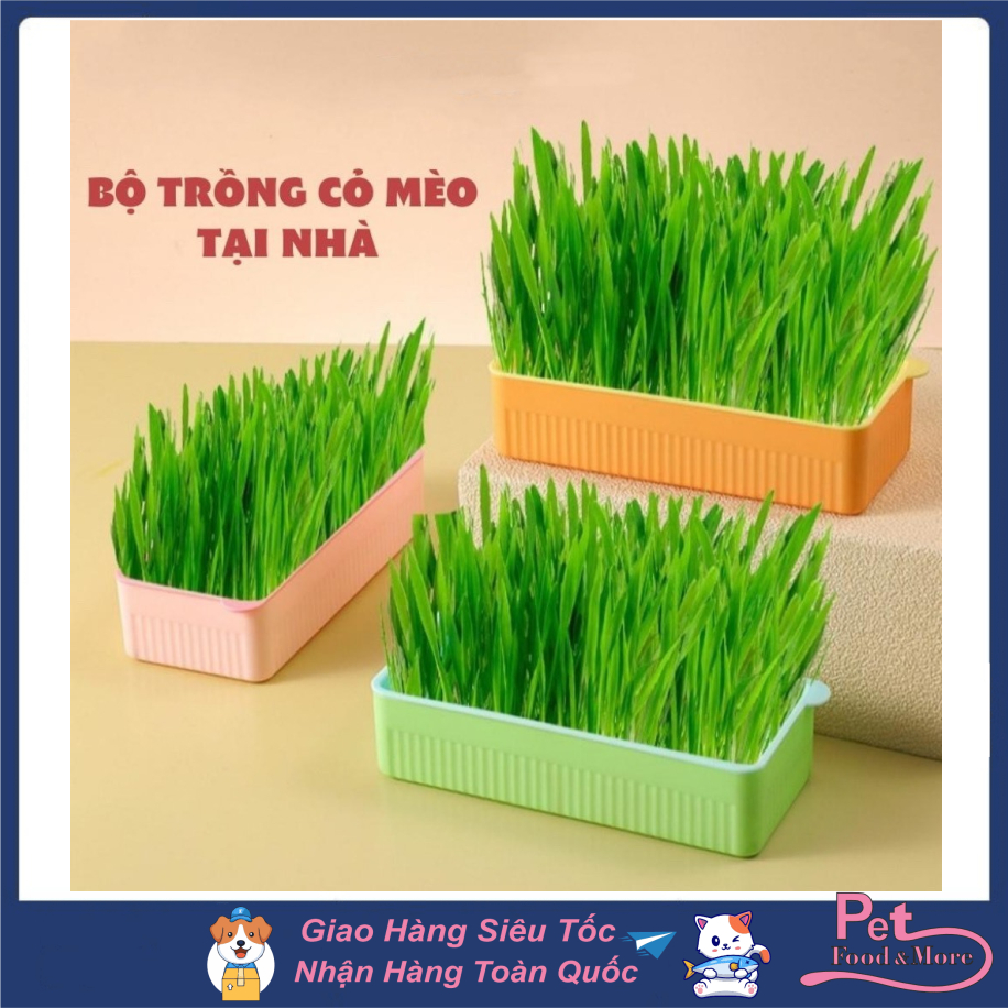 Bộ Kit KhayTrồng Cỏ Mèo Đã Bao Gồm Hạt Giống, Cỏ Lúa Mạch Giúp Mèo Tiêu Búi Lông