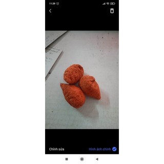 Nghệ đỏ củ100g gà chọi gà nòi gà đá gà tre