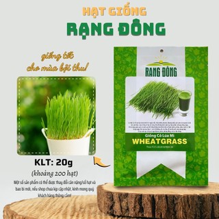 Hạt giống Cỏ Lúa Mì Wheatgrass nhanh thu hoạch, dễ chăm sóc, trồng quanh năm - Hạt giống Rạng Đông