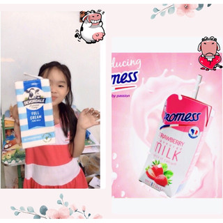 SỮA TƯƠI DEVONDALE /MIGTY/PROMESS 24 Hộp NỘI ĐỊA ÚC(Nguyên kem/Hương dâu)