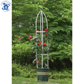 [🎆 Free shipping] Vòm hoa hồng 145cm * 28cm, vòm hoa hồng leo khung hoa hồng leo Vòm thường xuân