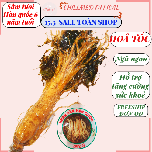 Sâm tươi Hàn Quốc 6 năm tuổi - nhiều size - chính hãng [Không phải là thuốc]