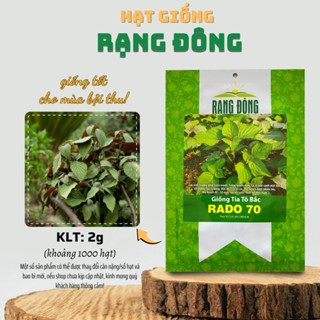 Hạt giống Tía Tô Bắc Rado 70 (2g~1000 hạt) cây phát triển mạnh, trồng quanh năm, dễ chăm sóc - Hạt giống Rạng Đông