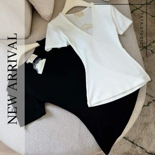 Áo thun trơn cổ v ôm body 2 lớp hl1