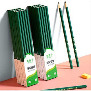 Bút chì gỗ thân thiện với môi trường - bút chì gỗ tự nhiên chì hb/2b - bc 001/bc 002