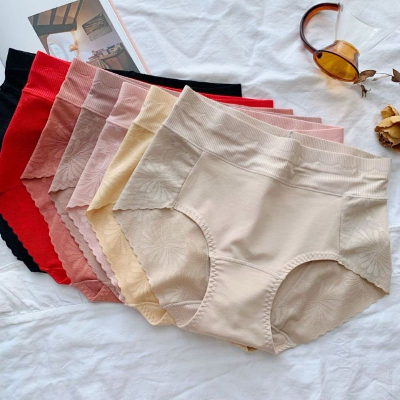 Combo 10 quần lót nữ bigsize 55 tới 70kg cotton cao cấp ôm mông, quần chíp
