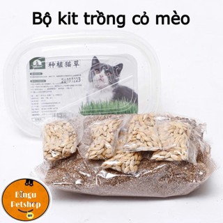 Bộ kit Hạt giống cỏ mèo bổ sung chát sơ và đẩy búi lông ra ngoài
