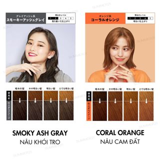 Bọt kem nhuộm tóc LIESE