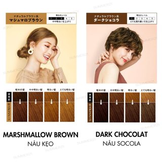 Bọt kem nhuộm tóc LIESE
