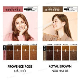 Bọt kem nhuộm tóc LIESE
