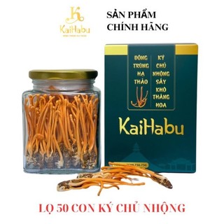 100 con ký chủ nhộng Đông trùng hạ thảo sấy khô thăng hoa KaiHabu