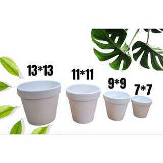 Chậu đất nung trồng sen đá, xương rồng, Chậu đất nung trắng Tô, vẽ nhiều Side