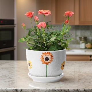 Chậu sứ trồng cây kèm đĩa hứng nước mẫu CHS_02, trồng cây để bàn làm việc ( giao hoa ngẫu nhiên )
