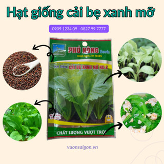 Hạt giống cải bẹ xanh Leaf Mustard Phú Nông (20gr) hạt chắc khỏe, tỉ lệ nẩy mầm cao (Vườn Sài Gòn)