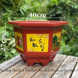 Chậu nhựa lục giác ah460 in