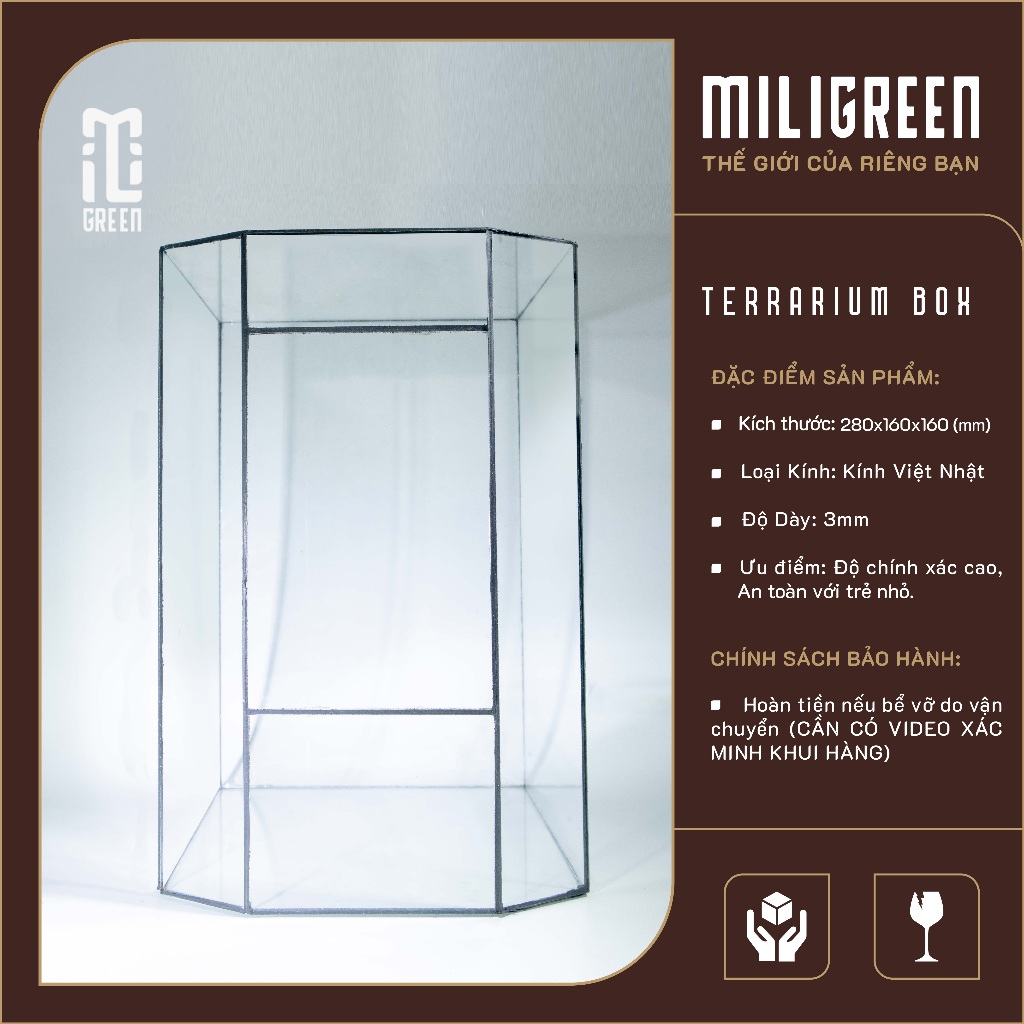 , Bình kính Terrarium, Bể kính Terrarium, Bể kính, Trang trí Terrarium,