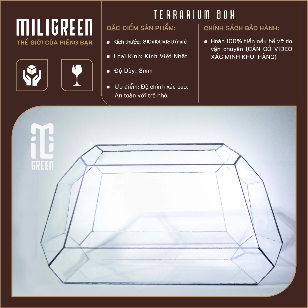 , Bình kính Terrarium, Bể kính Terrarium, Bể kính, Trang trí Terrarium,