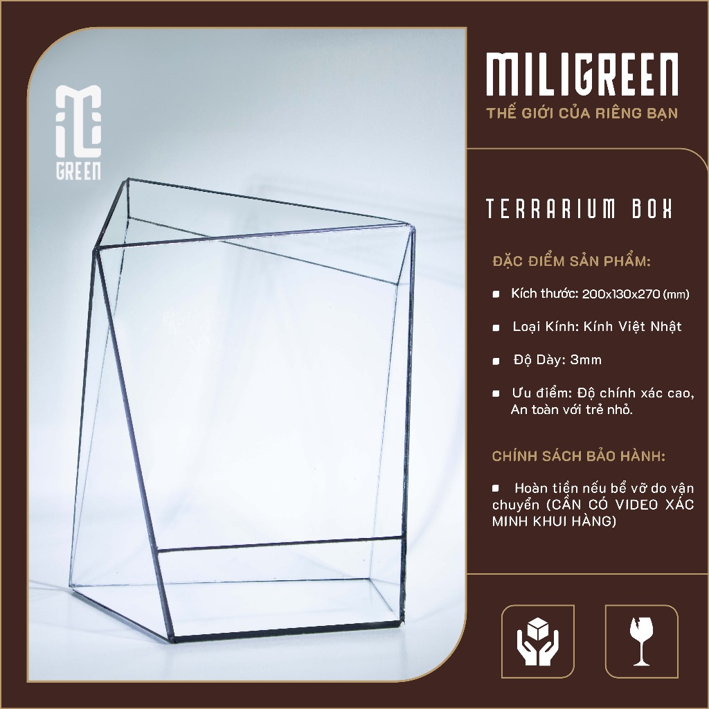 , Bình kính Terrarium, Bể kính Terrarium, Bể kính, Trang trí Terrarium,