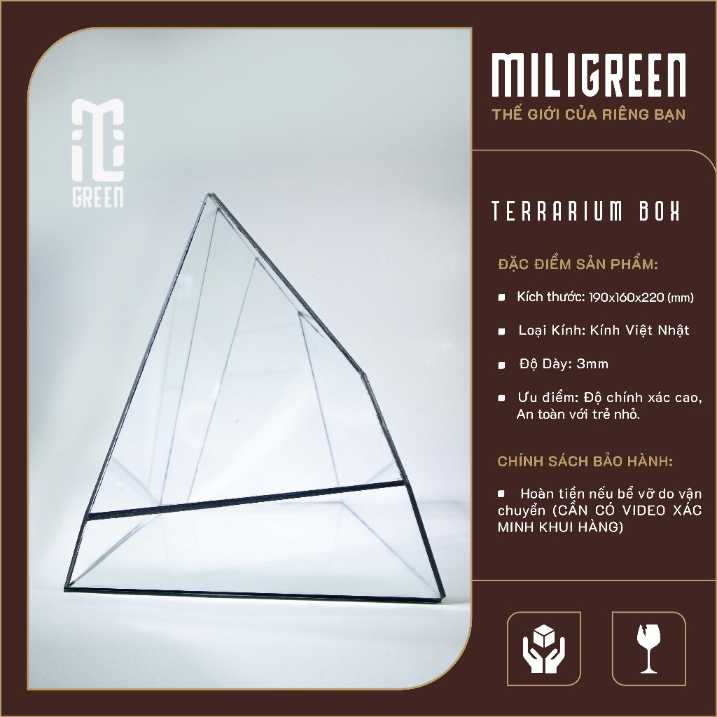 , Bình kính Terrarium, Bể kính Terrarium, Bể kính, Trang trí Terrarium,