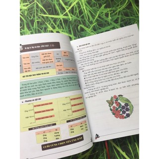 Sách - Danh Tính Học Toàn Thư ( ML)