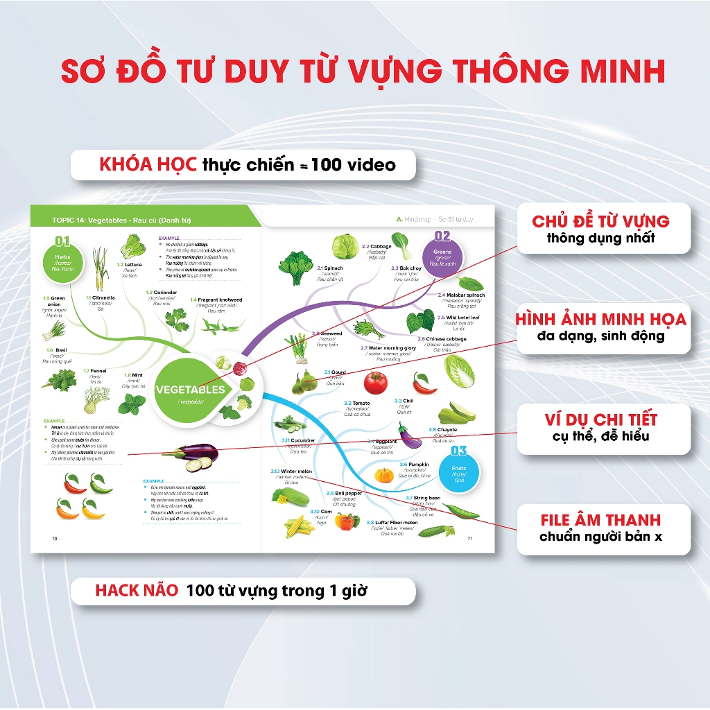 Sách MINDMAP 3000 Từ Vựng Tiếng Anh KÈM KHOÁ HỌC HITBOOKS - Tác giả HUYỀN WINDY | BigBuy360 - bigbuy360.vn