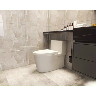 BỒN CẦU LIỀN KHỐI 6631 PHAO WDI