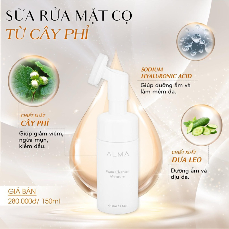 SRM đầu cọ ALMA (mẫu mới 2025)