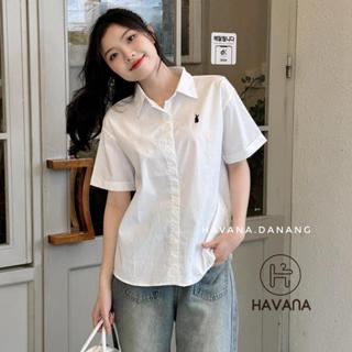 Áo sơ mi basic vạt bầu thêu logo con thỏ phong cách ullzang HAVANA AO195