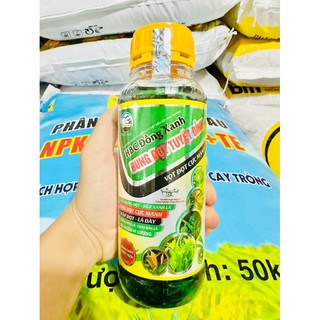 Phân bón lá Bung Đọt Tuyệt Đỉnh, vọt đọt cực mạnh, lá xanh dày.
