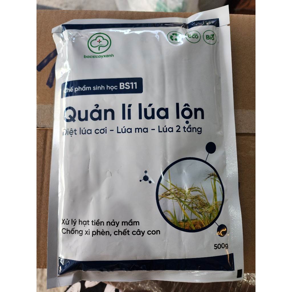XỬ LÝ LÚA LỘN -LÚA MA- LÚA VON -LÚA CỎ BS11