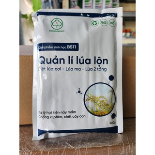 XỬ LÝ LÚA LỘN -LÚA MA- LÚA VON -LÚA CỎ BS11