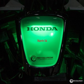 [Chính hãng] Đèn logo LED REVOLUTION GIORNO
