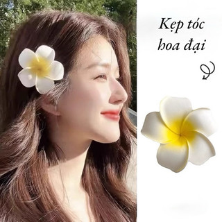 Cài tóc hoa đại, hoa sứ siêu xinh