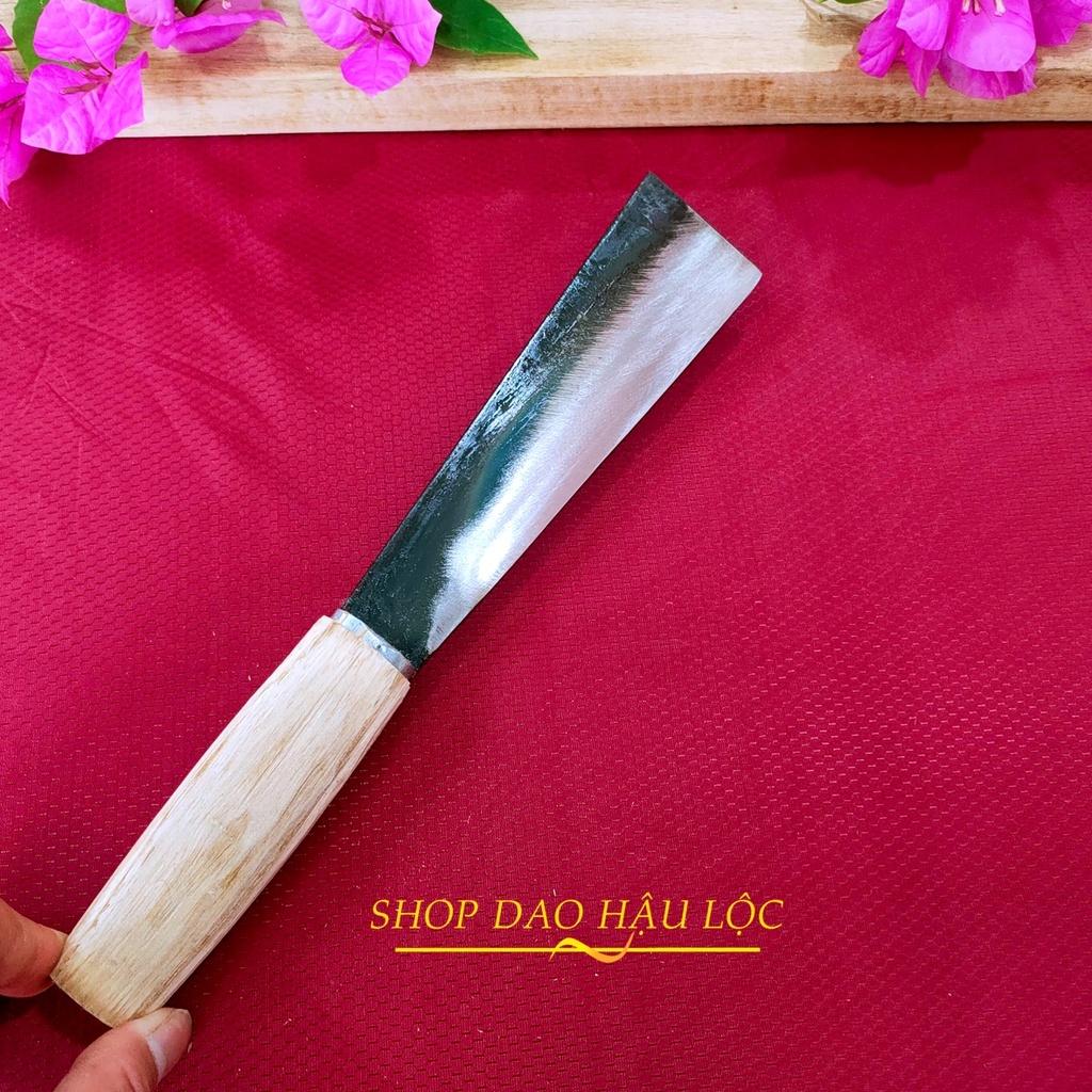 Dao nhặt giau, gọt trái cây, bổ cau tiện lợi loại nhỏ 17 cm