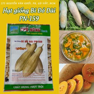 Hạt Giống Bí Đỏ Dài (Bí Sáp) Phú Nông, hạt giống chắc khỏe nẩy mầm cao (Vườn Sài Gòn)