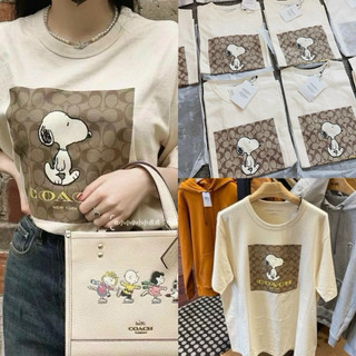 ÁO PHÔNG BE IN HÌNH CÚN COACH COTTON QCCC 2024