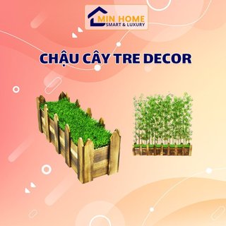 Chậu cắm cây tre ,trúc minhouse chậu trang trí nhà cửa, chất liệu gỗ cao cấp siêu chắc chắn siêu bền bỉ